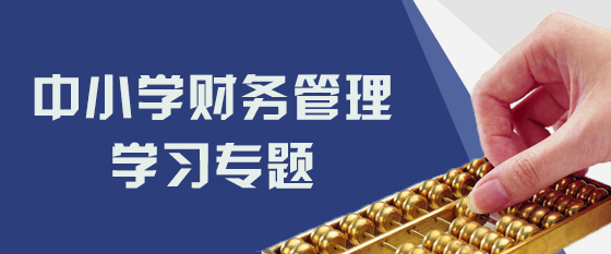 中小学财务管理学习专题